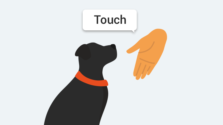 Learn how to train your dog to Touch with GoodPup.